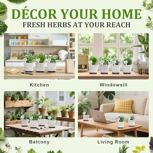10-Set Indoor Herb Garden Starter Kit, 7 Seeds Growing into Basil, Parsley, Thyme, Mint, Cilantro, Dill, Oregano Including 10 White Pots, Markers, Nutritional Soil, Ideal Christmas Gifts for Women - Image 6