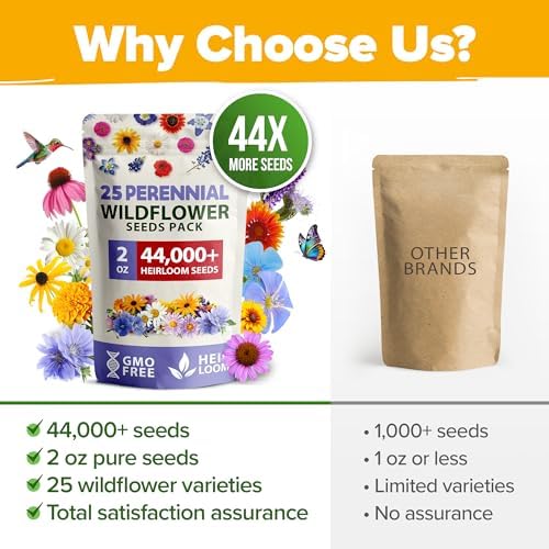 HOME GROWN 19 Wildflower Variety Mix 44,000 Flower Seeds 2 oz - Image 5
