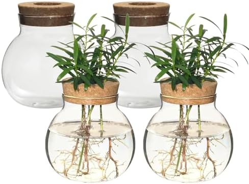 Plant Propagation Station,Hydroponic Terrarium Vase,Desktop Glass Planter Station,for Houses,Garden Decorations,ropagating Hydroponic Plants,Centerpiece Office,Home Garden Decor (4) by wangsdjy