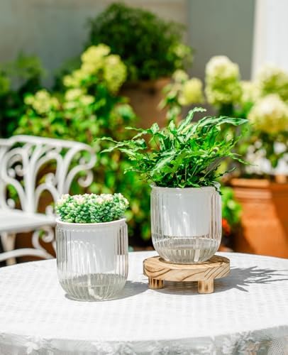 Melphoe Self Watering Pots for Indoor Plants Planter, 4.7 Inch 2 Pack Planters Self Watering Plant Pots for Flower, Houseplants, Succulent, African Violets and Cactus with Drainage - Image 2