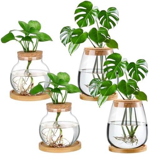 Layhit 4 Pcs Plants Propagation Stations vases Glass Planters with Wooden Lid and Bamboo Stand for Hydroponic Plants Gardening Gifts for Women Mom Home Office Tabletop Decoration(Lovely Style) by ShungLan