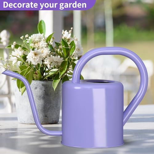Watering Can, Stainless Steel Watering Can for Indoor & Outdoor Plants, 1L/35oz Long Spout Water Can with Handle, Rust-Proof Plant Watering Pot for House Plants, Garden Flowers - Image 4
