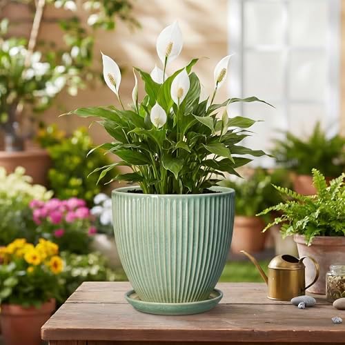 Ceramic Plant Pots, 6 Inch Ceramic Pots for Herb Snake Plants, Indoor Small Flower Pot with Drainage Hole and Saucer, Modern Round Planter, Room Office House Decor, Gardening Gifts, Green - Image 4