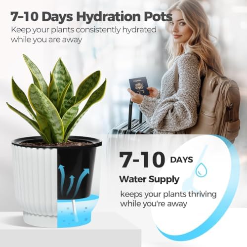 T4U Self Watering Pots for Indoor Plants, 6 Inch 6 Pack Planter White - Image 4