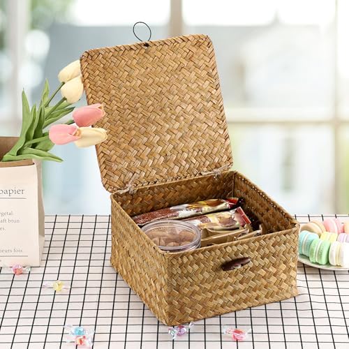 Hipiwe Handwoven Wicker Shelf Basket Bin with Lid Decorative Baskets Box - Image 2