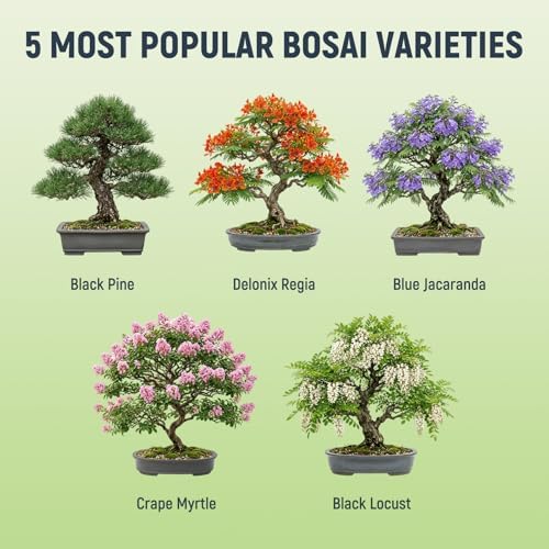 Bonsai Tree Kit - Complete Indoor Bonsai Starter Kit with 5 Unique Tree Seeds, Bonsai Tools - DIY Gardening Gift for Adults Women Men, Mom, Her, Friend (5 Bonsai Trees) - Image 2