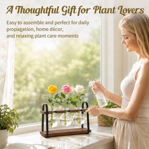 THYGIFTREE 3-Bulb Plant Propagation Station, Glass Vase Terrarium, Brown - Image 3