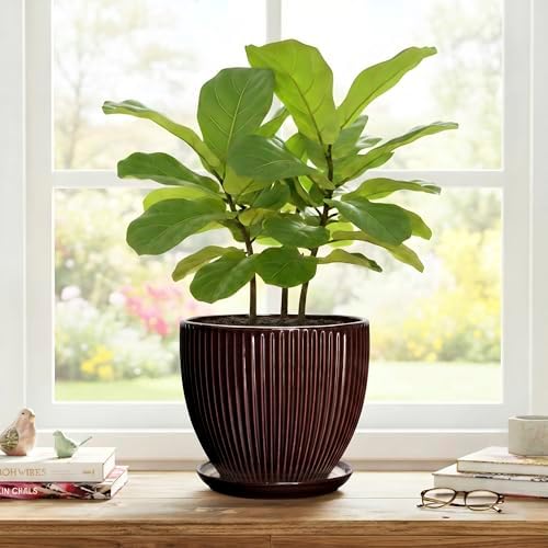 8 Inch Flower Pot, Ceramic Planters with Drainage Hole and Plant Saucer, Round Planters for Indoor Plants, Modern Plant Pot, Decorative Planter, Home Entryway Decor, Women Men Gifts, Brown - Image 7