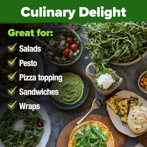 HOME GROWN Arugula Roquette Seeds, 2,175+ Seeds, Eruca vesicaria - Image 7