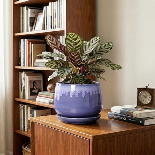 Ceramic Flower Pots, 7 Inch Indoor Planter with Drainage, Blue - Image 5