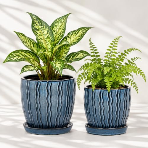 Ceramic Plant Pots, Modern Flower Pots, Small Plant Pots 4.5+5.5inch by Seworlan