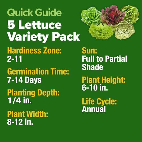 HOME GROWN Lettuce Seeds 5 Variety Mix 3950+ Bulk Pack (Lactuca Sativa) - Image 5
