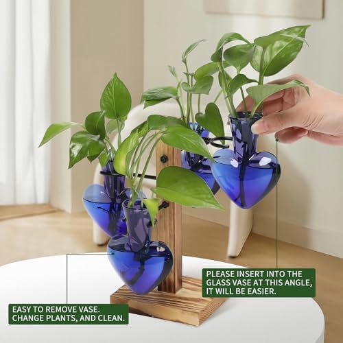 Plant Terrarium Propagation Stations with Wooden Stand - Image 3
