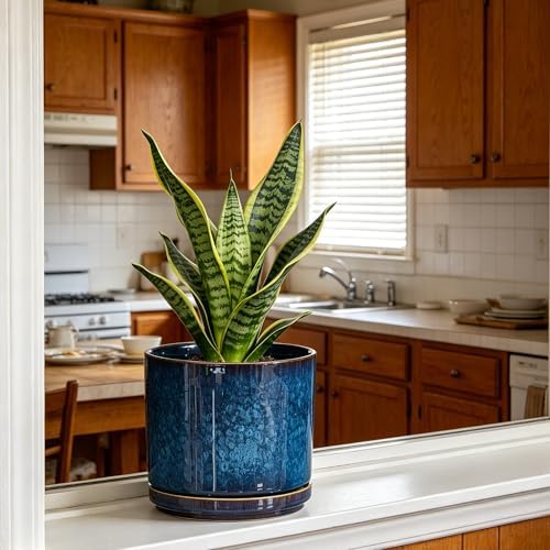Ekirlin 7 Inch Plant Pot, Modern Ceramic Glaze Planters for Indoor Plants, Round Flower Pots with Drainage Hole and Saucer, Succulent Planter Pot for Orchid, Pothos, Snake Plant,Gift for Plant, Blue - Image 4