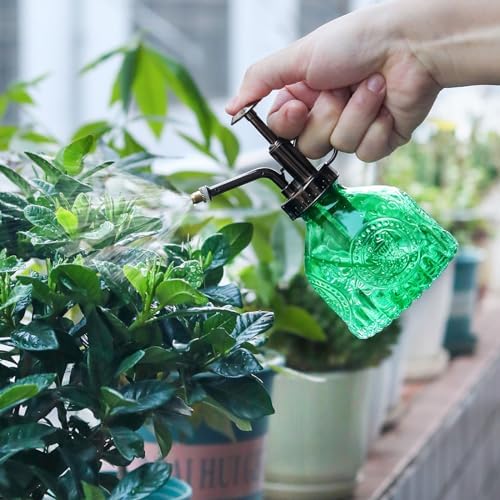 Glass Plant Mister Spray Bottle, Vintage Plant Spritzer Watering Can, Succulent Watering Bottle with Top Pump, Small Plant Sprayer Mister for Indoor Outdoor Houseplant - Green - Image 4