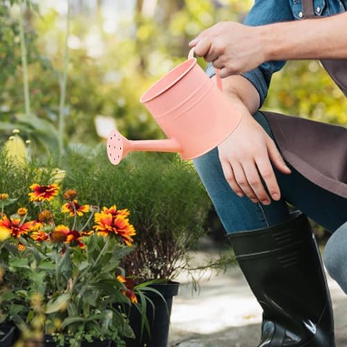 Small Watering Can, 1L Metal Flower Garden Watering Can, Gardening Tool Accessories for Outdoor Indoor Plants Lawn (Pink) - Image 3