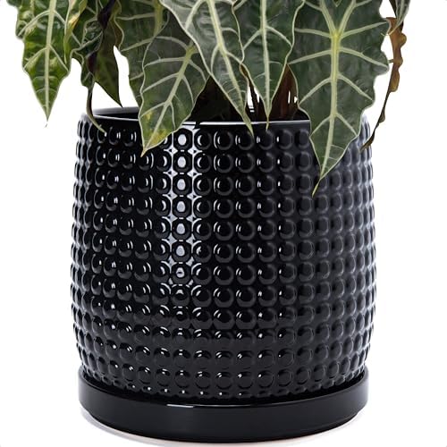 D'vine Dev Beaded Ceramic Pot with Saucer, 10 in, Glossy Black, 27-C-P-2 by DvineDevPlanterPotsandStand