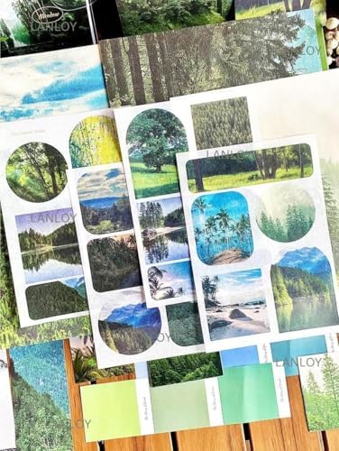 ATIRAMANIYA 346pcs Journal Supplies Kit Vintage Scrapbook Stickers Art Journaling Bullet Junk Journal Planners DIY Decoration Paper Stickers Craft Kits Notebook Collage Album (Meadow) - Image 6