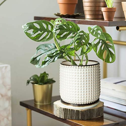 D'vine Dev Beaded Ceramic Pot with Saucer, 6 in, Smoked White, 27-C-X-1 - Image 2