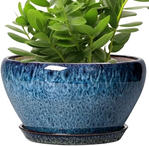 Ceramicfor Ceramic Planter 11 Inch - Ceramic Pots for Plants Indoor Outdoor, Large Plant Pot with Drainage Hole and Saucer, Decorative Round Planter, Plant Lover Gifts, Garden Decor, Blue by Ceramicfor