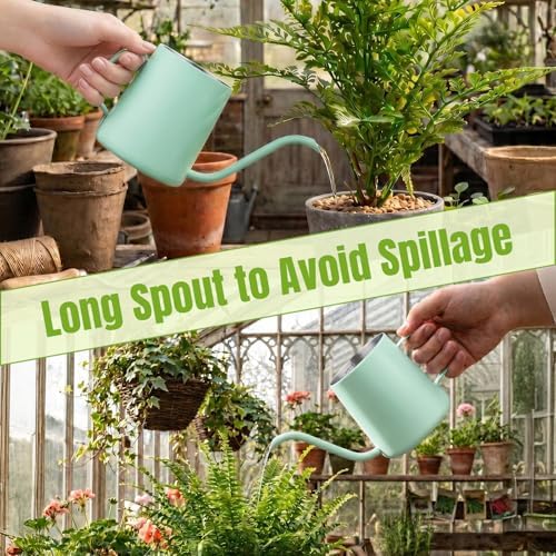 Doseno Green Small Watering Can for Seedlings & Indoor Plants, 12 oz - Image 4