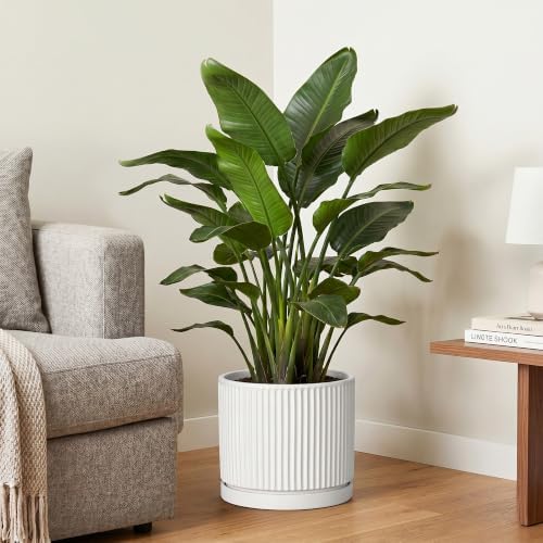 10 Inch Plant Pot, Ceramic Planters, Round Flower Pots, White - Image 4