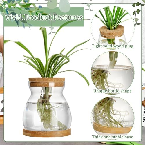 6 Pcs Glass Plant Propagation Station with Wood Lid & Stand, Novel Style - Image 5
