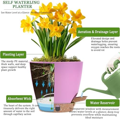 6 Inch Small Self Watering Pots for Indoor Outdoor Plants,5-Pack - Image 3
