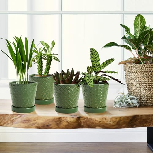 EFISPSS Ceramic Plant Pots, 5 Inch Planters with Drainage Holes and Ceramic Tray, Relief Design Flower Planter, Desktop Office Windowsill Decoration Gift Set of 4 - Blackish Green - Image 4
