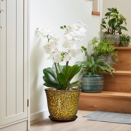 Ceramic Pots for Plants - 10 Inch Plant Pot for Indoor Outdoor, Round Planter with Drainage Hole and Saucer, Modern Flower Pot, Decorative Planters, Home Garden Decor, Birthday Gift, Yellow - Image 6