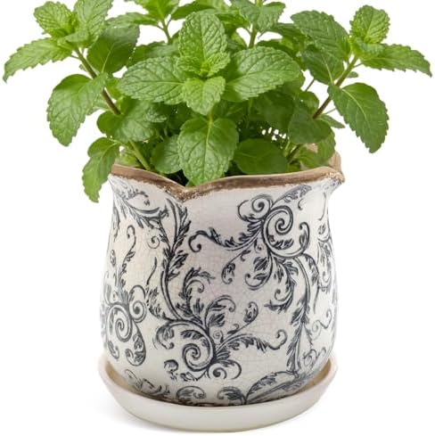 Ceramic-Planters-for-Indoor-Plants with Saucer, 6 inch Vintage Ice Crackle Glaze Plant Pots with Drainage Holes, Decorative Flower Pots for Outdoor Garden Home Decor, Tuscan Pot for Plant by Xoogifae