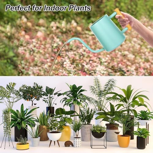 Watering Can Indoor Plants, 35 oz/1000 ml Metal Stainless Steel Watering Can Pot with Long Spout for Indoor House Plants Bonsai Outdoor Garden Flower Decorative (Green - Image 5