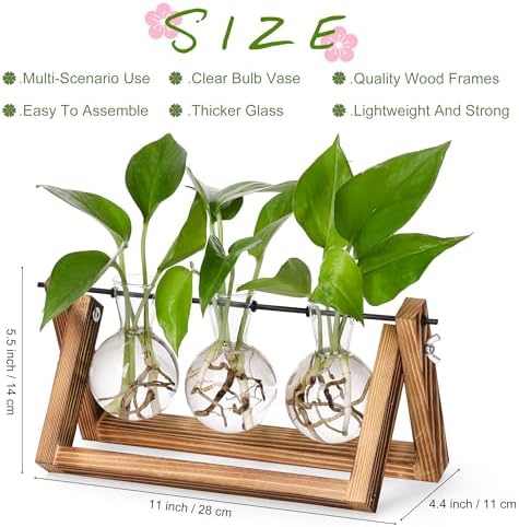 YIBOT Plant Propagation Stations with Wooden Stand & 3 Glass Bulb Vases - Image 2