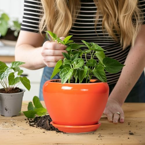 Ceramicfor Ceramic Plant Pot 6 Inch - Ceramic Planter for Indoor Plants Outdoor, Glaze Round Modern Flower Pot with Drainage Hole and Saucer, Gift for Plant Lover, Home Garden Room Decor, Orange - Image 6