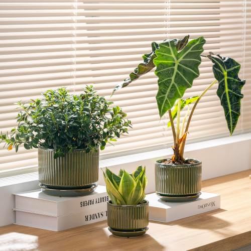 SURE YUESI Ceramic Plant Flower Pots for Indoor Plant, 4.33"+5.5"+6.88", Set of 3, Orchid Pot with Drainage Hole, Saucer and Hole Mesh Pad for Succulents, Herbs and African Violet (Light Green) - Image 2