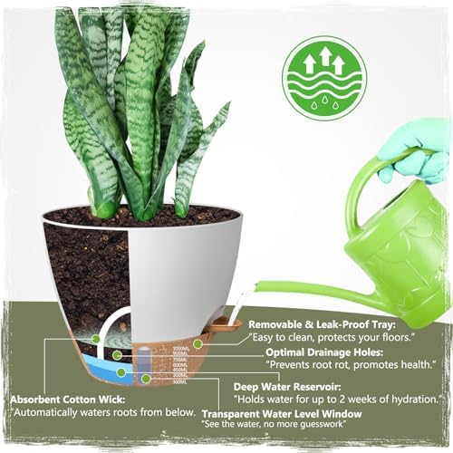 Self-Watering Pots for Indoor and Outdoor Plants 4 Pack, 6/8/10/12 Inch Planters with Water Level Indicator & Deep Reservoir, Decorative Flower Pots for Home Decor - Image 3