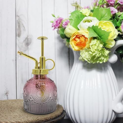 Glass Plant Mister Spray Bottle, 230ML Vintage Plant Spritzer, Succulent Watering Bottle Glass with Top Pump, Small Plants Sprayer Watering Can for Indoor Outdoor House(Red Gray) - Image 6
