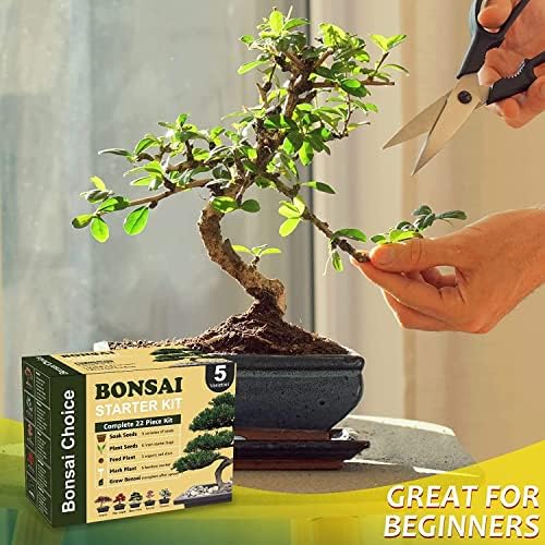 Meekear Indoor Starter Kit with Complete Planting Tools, Gardening DIY Gift for Plant Lovers - Image 5