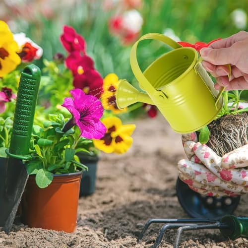 Mini Watering Can for Plants Indoor Outdoor, Decorative Metal Flower Watering Pail with Handle, Long Spout Small Spray Pot for Succulent Gardening - Image 5