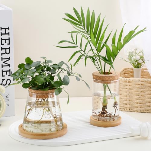 Layhit 4 Pcs Plants Propagation Stations vases Glass Planters with Wooden Lid and Bamboo Stand for Hydroponic Plants Gardening Gifts for Women Mom Home Office Tabletop Decoration(Stylish Style) - Image 2