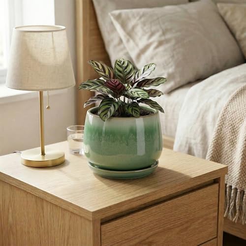6 Inch Planter, Ceramic Plant Pots for Indoor Plants, Green - Image 6