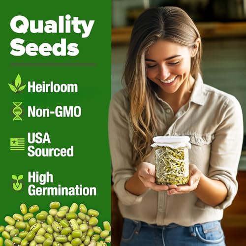 HOME GROWN Mung Bean 15,000+ Sprouting Seeds 1.5 lb Vigna Radiata - Image 2