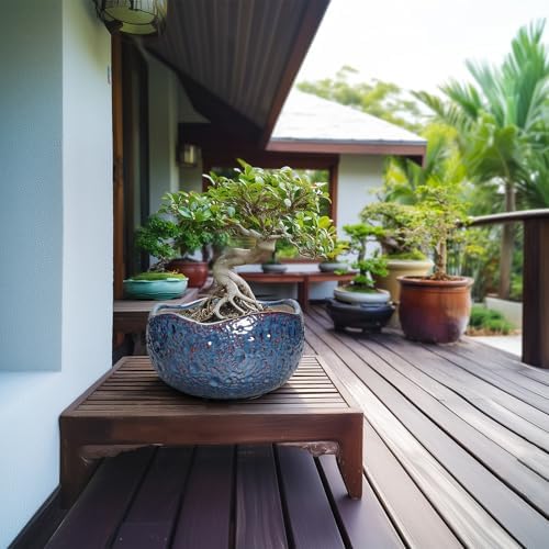 10 Inch Plant Pot - Ceramic Planter for Indoor Outdoor, Round Bonsai Pots, Decorative Flower Pots with Drainage Hole, Modern Unique Planters, House Decor, Home Gifts, Retro Blue - Image 3