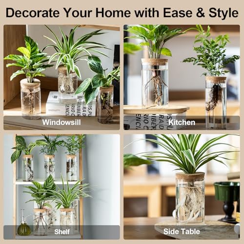 Propagation Vases for Plants, Set of 2(1 Large & 1 Small) Glass Plant Propagation Stations, Plant Propagation Jars for Home Office Windowsill Tabletop Decoration (2) - Image 5