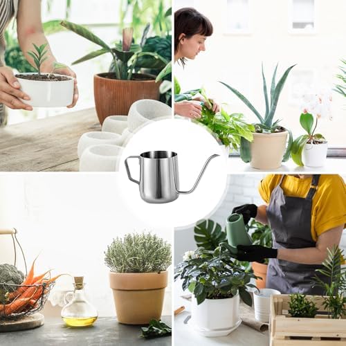 Small Plant Watering Can, 12oz/350ml Stainless Steel Tiny Mini Plant Watering Pot with Long Spout Accessories Tools for Indoor Outdoor Garden Flowers Bonsai (Silver) - Image 7