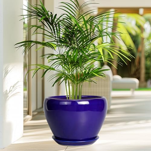 Ceramicfor Ceramic Planter 10 Inch, Indoor Plant Pot for Plants, Royal Blue - Image 4