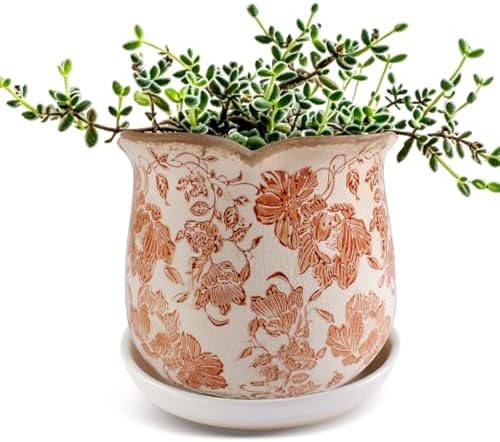 Ceramic-Planters-for-Indoor-Plants with Saucer, 6 inch Vintage Ice Crackle Glaze Plant Pots with Drainage Holes, Decorative Flower Pots for Outdoor Garden Home Decor, Tuscan Pot for Plant by Xoogifae