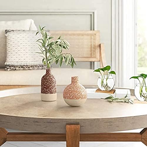 Kingbuy Round Glass Desktop Planter with Wooden Stand - Propagation Station for Small Hydroponic Plants, Spider Plants, Pothos, Lucky Bamboo - Terrarium Vase for Home Office Decor, 2-Pack, Brown - Image 4