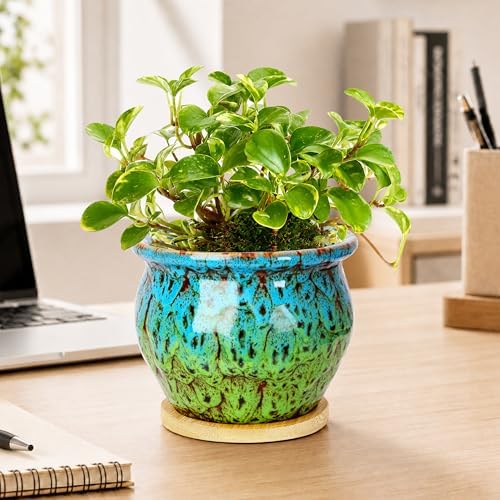 4.5 Inch Plant Pots, Small Pots for Plant Indoor, Succulent Pots with Tray - Image 4