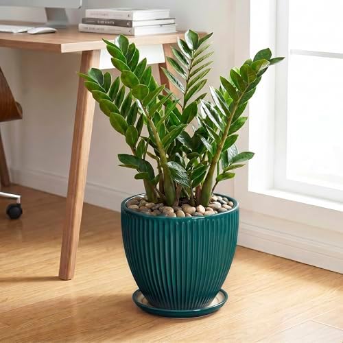 10 Inch Flower Pot, Round Ceramic Planters for Indoor Plants, Decorative Plant Pots with Drainage Hole and Saucer, Modern Large Planter, Office Decor, House Warming Gifts, Blackish Green - Image 3